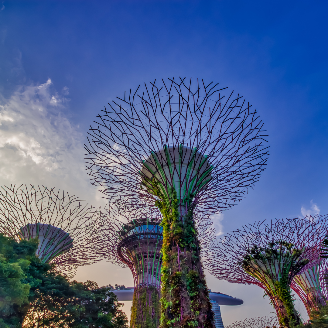Why “Formal” Makes a Difference in Singapore